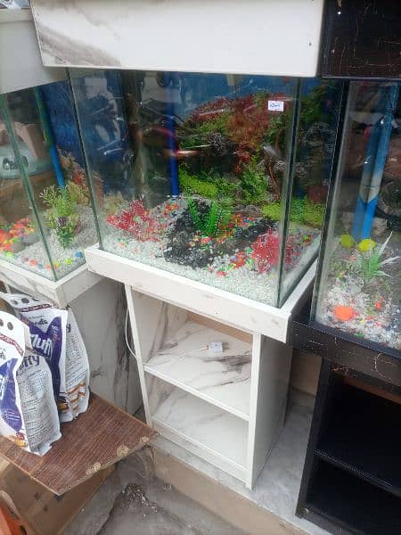 Fish Aquarium 13