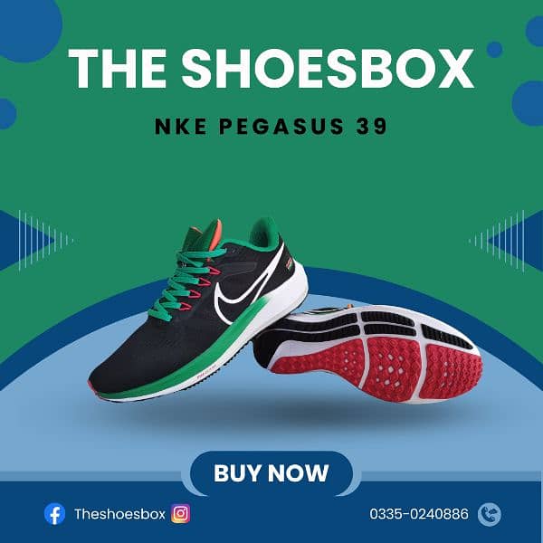 Nike Pegasus 39 2