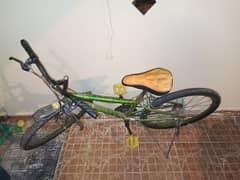 cycle up for sale