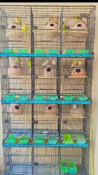 master cage for birds  for sell and exchange with boxes and matkis 2