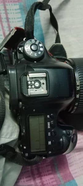 canon 6d mark Ii with lens 24x105 is ii 2