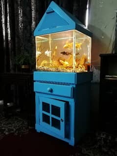 Fish Aquarium For Sale