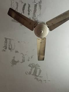 ceiling fans 0