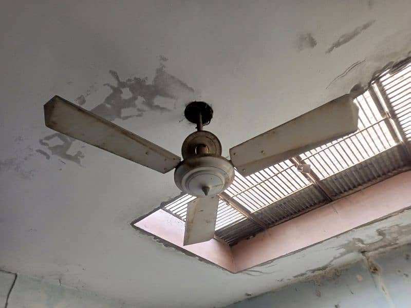 ceiling fans 3