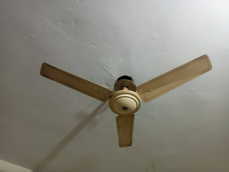 ceiling fans 4