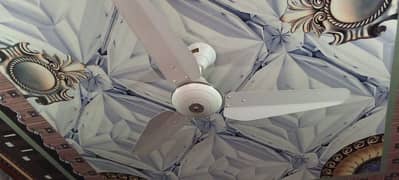 1 pak fan ,1 breez fan ceiling