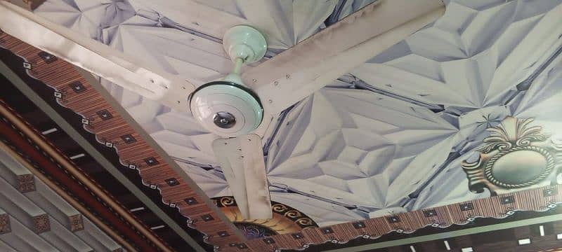 1 pak fan ,1 breez fan ceiling 3