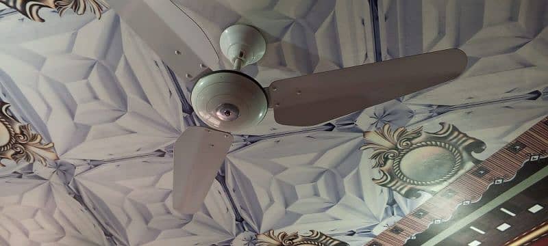 1 pak fan ,1 breez fan ceiling 4