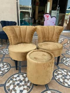 Sofa Chairs/Coffee chairs and table 0