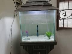 Fish Aquarium For Sale