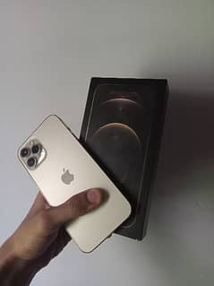 iphone 12 Pro Max 128GB PTA Approved Golden colour