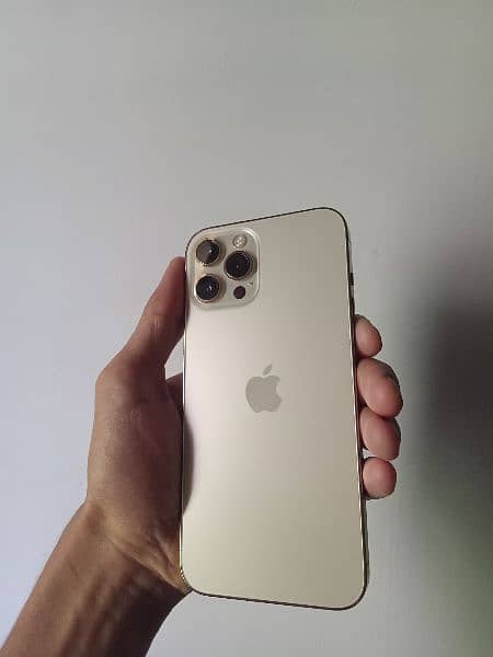 iphone 12 Pro Max 128GB PTA Approved Golden colour 1