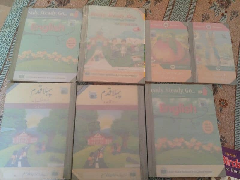 APSACS PRE 1 complete Syllables and my mini board books for G, knowleg 0