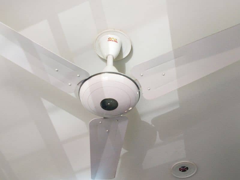 05-Cieling Fans Size "56 For sale 1