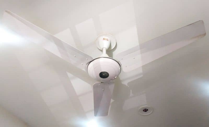 05-Cieling Fans Size "56 For sale 2