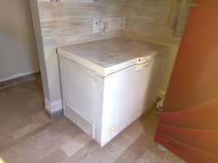 waves 13CU ft deep freezer 3.5 yrs used price is negotiable
