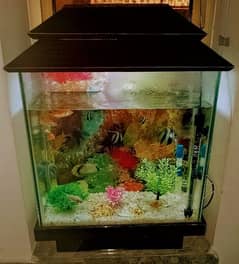 Fish aquarium with all accessories
