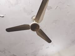 ceiling fans for sale