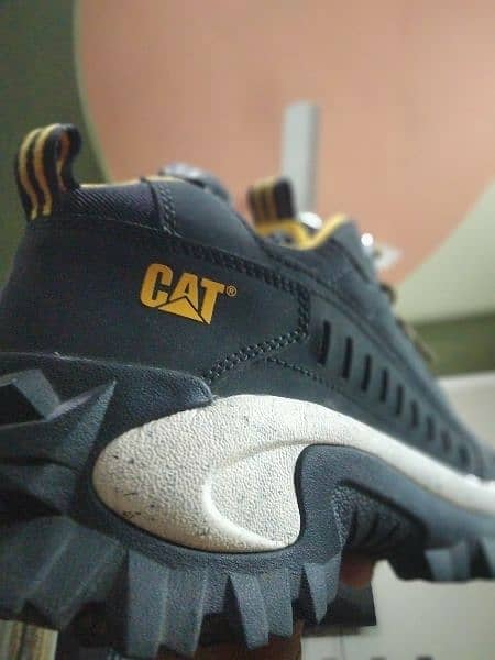 CAT Shoes 3