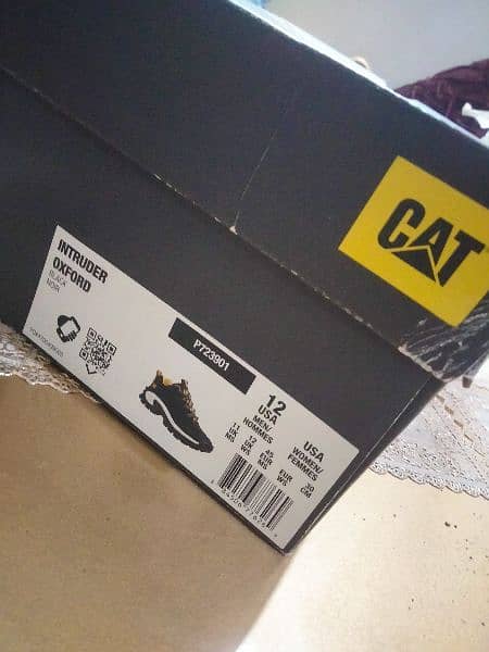 CAT Shoes 4