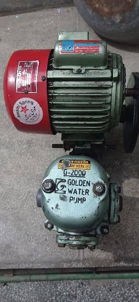 Water Pump & Motor - Donkey Pump 6