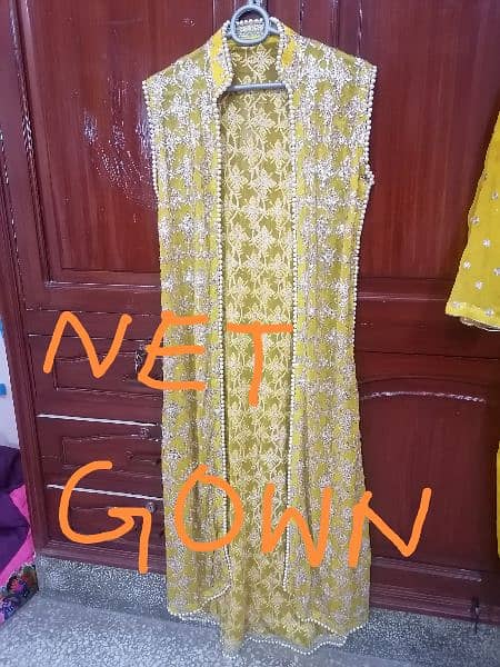 Net Gown with dupatta and Capri 6