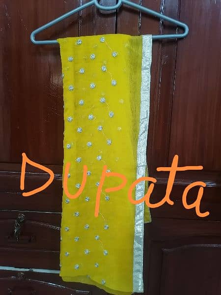 Net Gown with dupatta and Capri 7