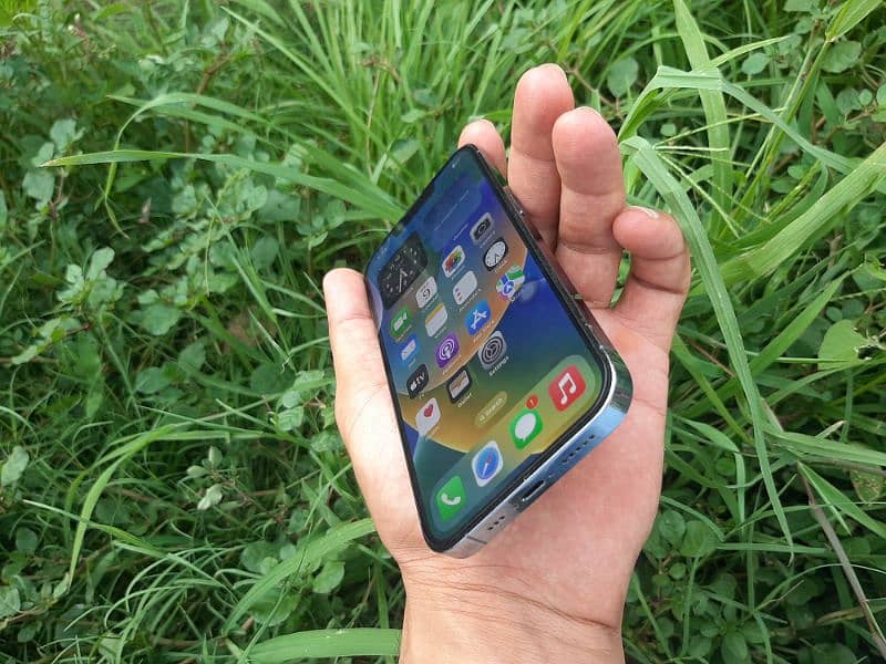 Iphone 13 Pro  Factory Unlocked 7