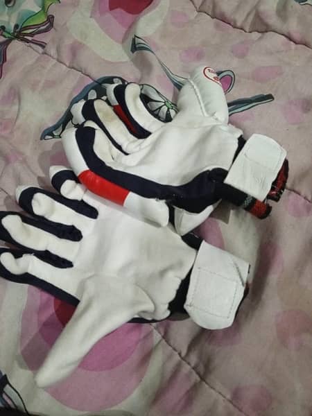 Cricket kit un used new condition 3