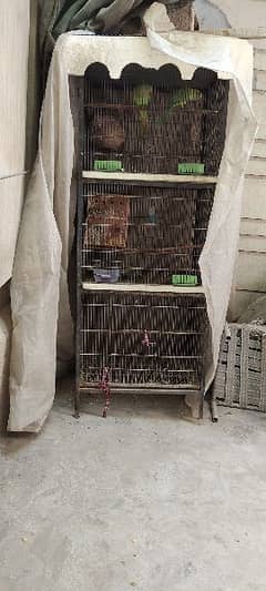 3 Portion Cage along with Birds