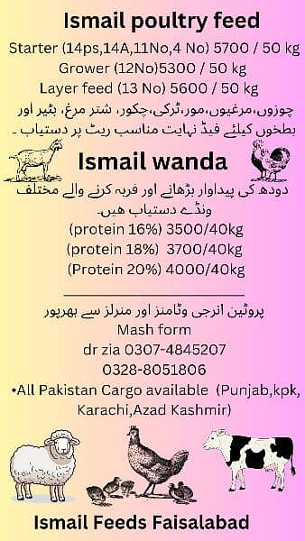poultry feed and wanda 0328-8051806 (cow,sheep,goat,aseel, layer,) 3
