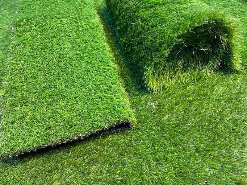 Artificial Grass 2