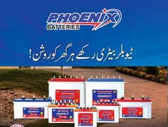 Phoenix Battery for UPS - 06Months guarantee