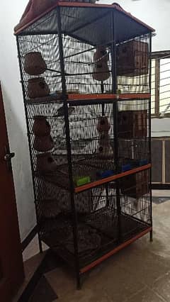 Used parrot cage 3 steps