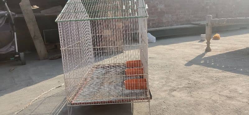 cage for sale size 2.9by1.6 phone number 03095225516 1