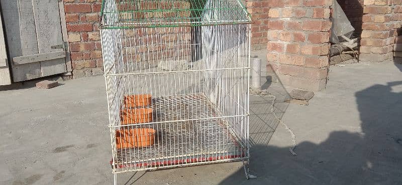 cage for sale size 2.9by1.6 phone number 03095225516 2