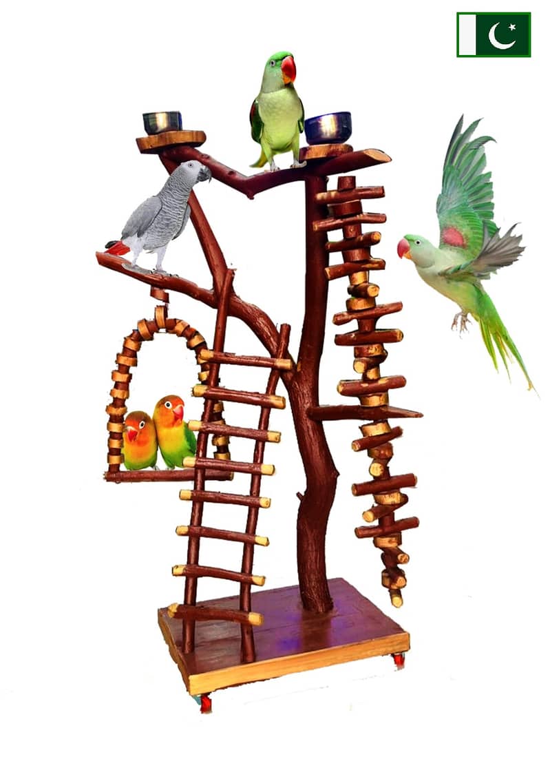 Parrot stand beautiful natural wooden and Iron stands NEW 14