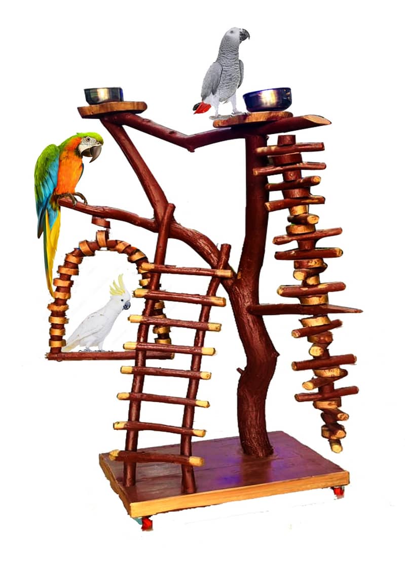 Parrot stand beautiful natural wooden and Iron stands NEW 16