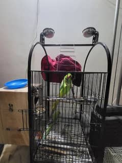 bird cage large with box