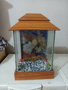 fish aquarium with oxygen machine for sale