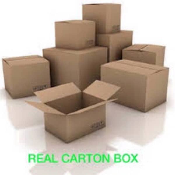 carton factory 2