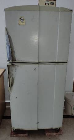Pel Large size fridge