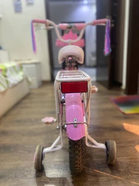 Frozen girls cycle pink colour 2