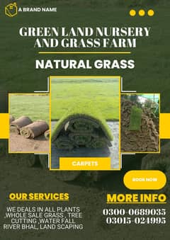 Natural korean grass / american grass / artificial grass / fine grass