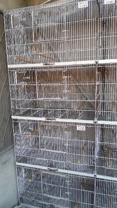 8 portion fixed cage