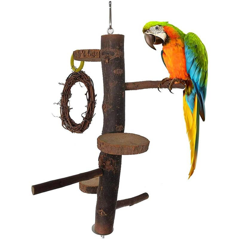 Parrot toys beautiful swings perches natural wooden and Iron stands 19