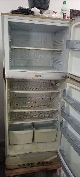 Pel Refrigerator 5