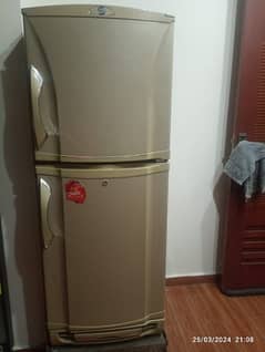 pel fridge in good working condition