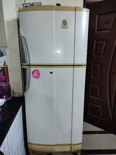 Pel fridge for sale medium size