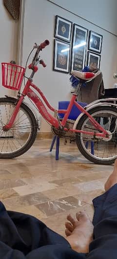 Bicycle age 5 to 12 years